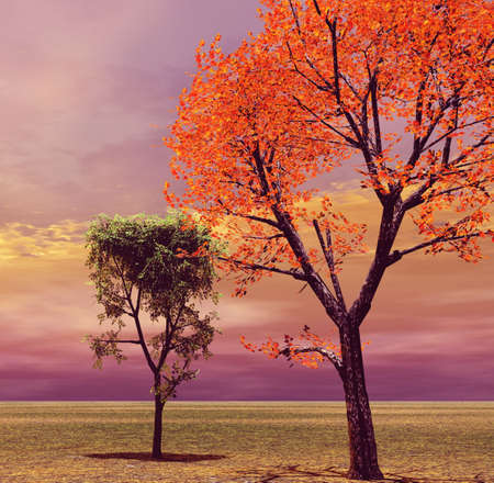 Autumn sceneryの写真素材