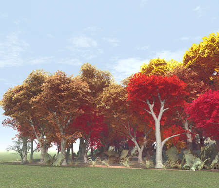Autumn sceneryの写真素材