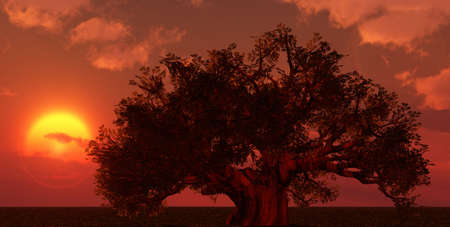 Beautiful sunsetの写真素材