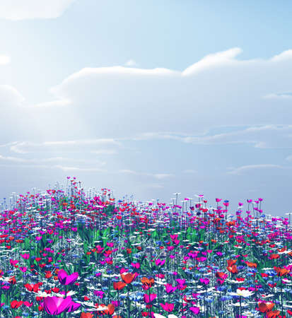 Beautiful flowersの写真素材