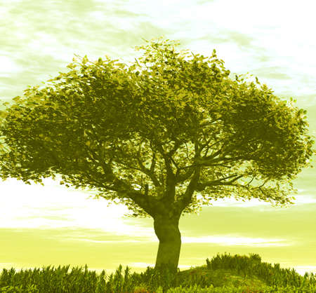 Beautiful landscapeの写真素材