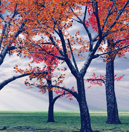Autumn landscapeの写真素材