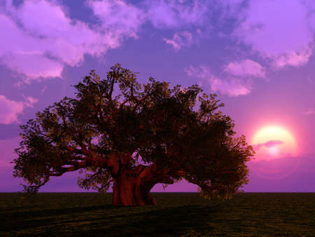 Beautiful sunsetの写真素材
