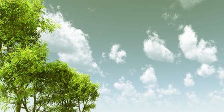 Beautiful landscapeの写真素材