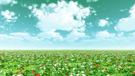 Beautiful landscapeの写真素材