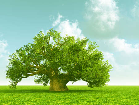 Beautiful landscapeの写真素材