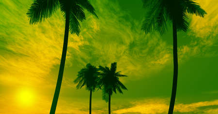 Beautiful sunsetの写真素材