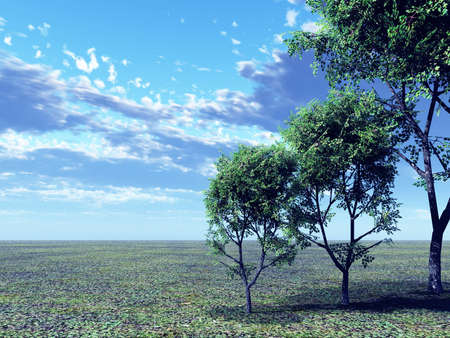 Beautiful landscapeの写真素材