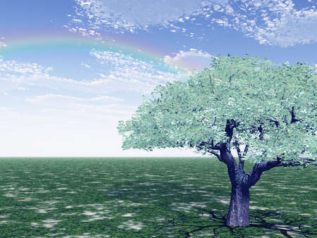 Beautiful landscapeの写真素材