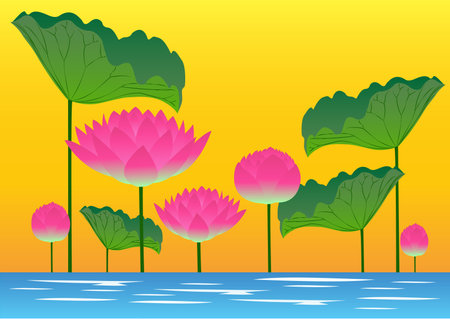 Lotus at sunsetのイラスト素材