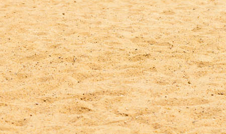 Pavementの写真素材