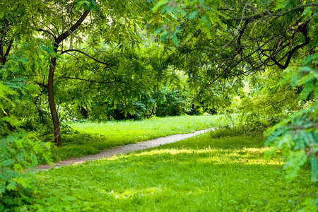 Green fieldの写真素材