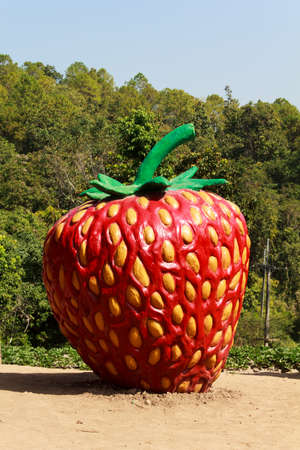 Large statues strawberries の写真素材