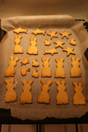 Delicious freshly cooked golden cookies in the shape of large and small bunnies, stars and fishの写真素材