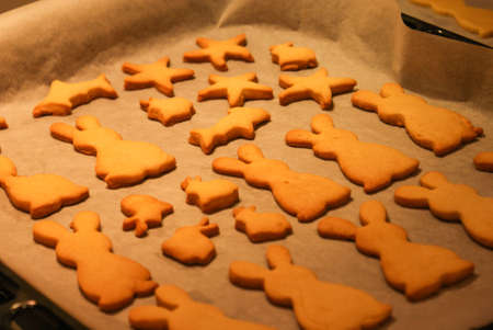 Delicious freshly cooked golden cookies in the shape of large and small bunnies, stars and fishの写真素材