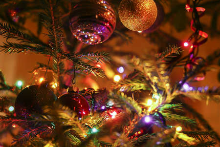 Christmas tree in the hallの素材