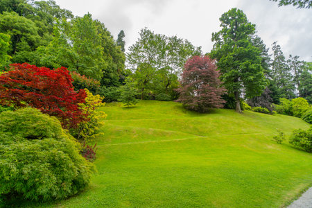 A lush, vibrant hillside garden featuring vivid green grass, colorful trees with red, yellow, and pink foliage, and dense greenery under an overcast sky. The tranquil setting highlights the beauty of nature.の写真素材