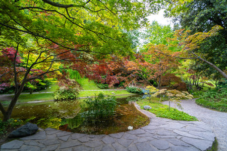 A serene garden scene featuring vibrant red, green, and yellow foliage surrounding a calm reflective pond. The lush trees and their mirrored reflections in the water create a peaceful and colorful natural setting.の写真素材