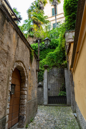 Narrow cobblestone alleyway with rustic stone walls, an arched wooden door, and a wrought-iron gate surrounded by lush greenery and palm trees.の写真素材