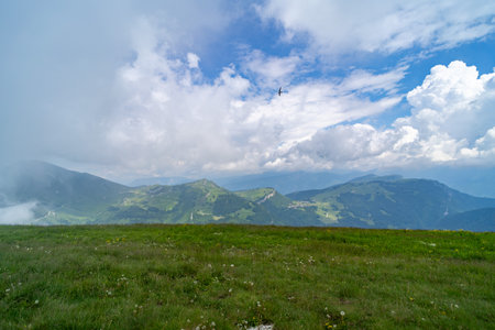Scenic mountain landscape with rolling green hills, wildflowers, and a bird soaring under a partly cloudy sky, offering a tranquil and natural setting.の写真素材