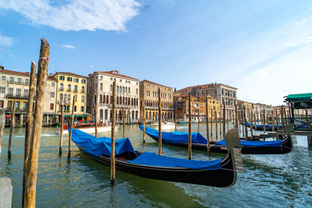 Traditional gondolas with blue covers moored along the Grand Canal in Venice, Italy, surrounded by historic buildings with colorful facades under a sunny sky.の写真素材