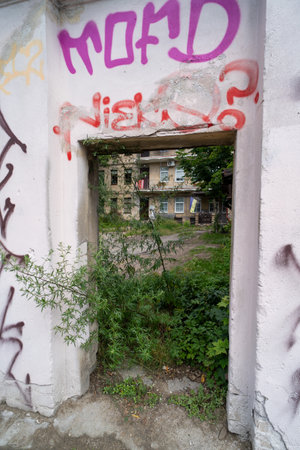 A vibrant graffiti-covered wall frames a view of an overgrown courtyard with lush greenery and an old building in the background.の写真素材