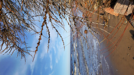 Scenic beach view featuring rocky shoreline and bare branches over the waves, under a vibrant blue sky.の写真素材