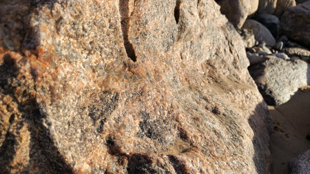 Close-up shot of a granite rock showing intricate details and colors under sunlight.の写真素材