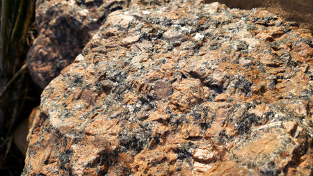 Close-up image capturing the rich textures and colors of a granite rock on a sunny beach.の写真素材