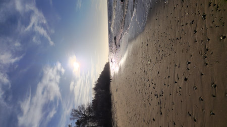 Sunset view over a beach, showcasing the serene waves and sandy shore under a vivid sky.の写真素材