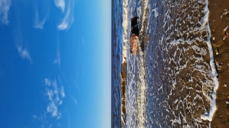 Vibrant beach scene featuring foamy waves crashing onto a rock, highlighted by a clear blue sky.の写真素材