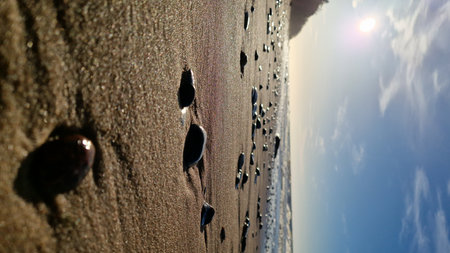Warm sunlight bathes small pebbles on a sandy beach, highlighting their smooth surfaces and shadows.の写真素材