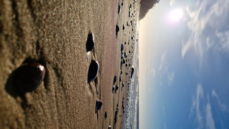Glistening pebbles on a coastal beach catch the sunlight, with waves softly breaking in the background.の写真素材