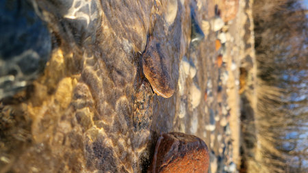 A single, weathered pebble stands out in a sunlit beach stream, captured in stunning detail amidst flowing water.の写真素材