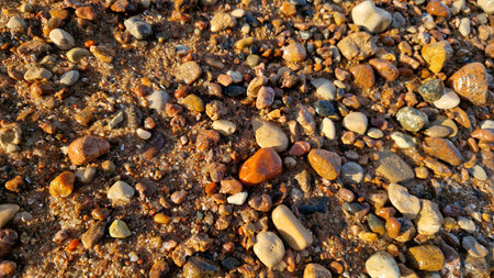 Macro shot focusing on the diverse colors and textures of pebbles scattered on a sandy beach.の写真素材
