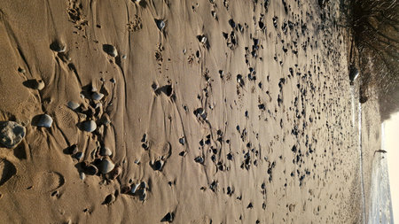 Pebble Covered Beach at Sunset with Gentle Wavesの写真素材