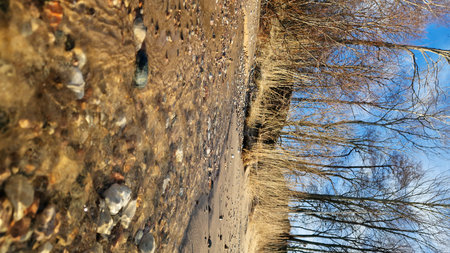 Winding Beach Trail with Pebbled Water Edgeの写真素材