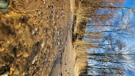 Clear Winter Day at Pebble Covered Beachの写真素材