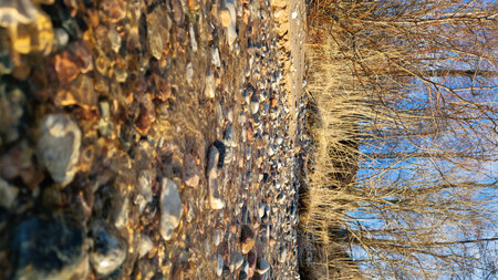 Sunny Winter Day on a Pebbled Beach Pathwayの写真素材