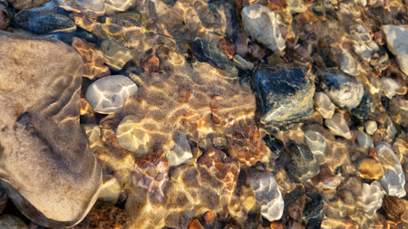 Clear stream water flows over a variety of multi-colored pebbles, captured in bright sunlight.
