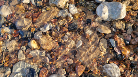 Sunlight dances on pebbles under the transparent surface of a peaceful river.の写真素材