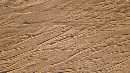 Wavy patterns in the sand of a coastal shoreline, captured under sunlight.の写真素材