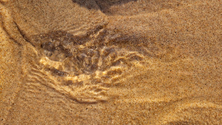 Golden hour light accentuates the detailed patterns in the beach sand, creating a mesmerizing texture.の写真素材