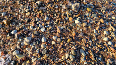Close-up of a vibrant coastal scene with mixed rocks and shells, detailed under natural light.の写真素材