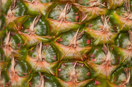Pineapple - macro textured backgroundの写真素材