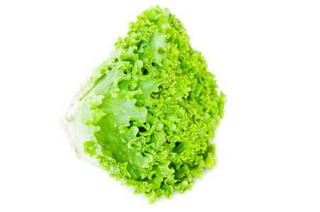 Fresh lettuce isolated on white backgroundの写真素材