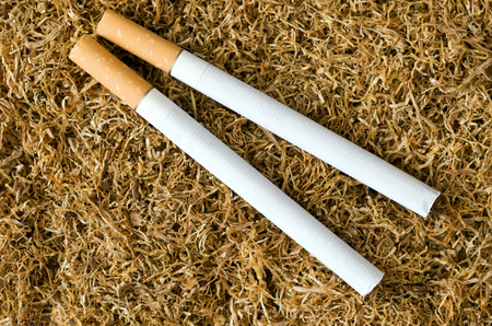 Cigarette on tobacco backgroundの写真素材