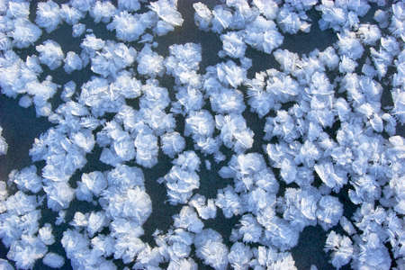 Beautiful frost pattern on freshly formed ice in late autumn の写真素材