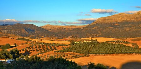 Ronda surroundings: agricultural fields and mountains before sunset. Andalusia, Spain.の写真素材