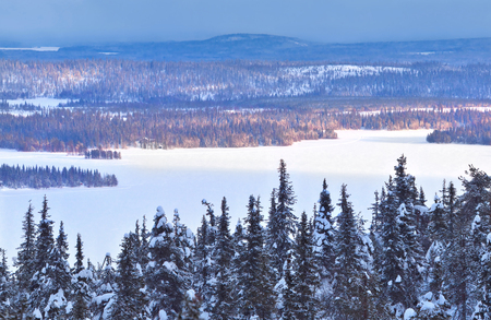 Winterscape with forests and frozen lakes in northern Finland near Ruka Ski Resort.の写真素材